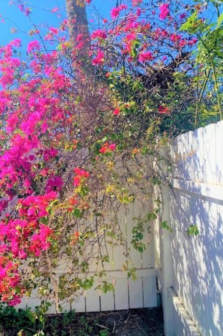 Sparkling 2Bed 1Bath Beach Home - Unit 214 Cocoa Beach Extérieur photo